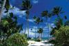 dominican-republic-2