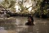 Mighty Afrin: In The Time Of Floods