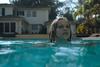 Night Swim
