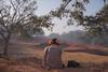 ToKillaTiger1_Ranjit_s daughter looking out to a field. Photo courtesy of Notice Pictures _ NFB