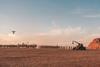 Filming Desert Warrior