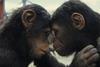 'Kingdom Of The Planet Of The Apes'