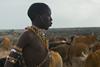Searching for Amani